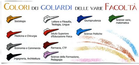 feluca universitaria colori